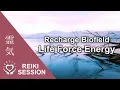 Reiki to Recharge Vital Life Force Restore Energy Flow Strengthen Biofield Prana Chi