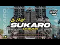 Download Lagu DJ TRAP SUKARO VIRAL TERBARU COCOK UNTUK HAJATAN HOREG