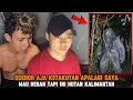 Lagu CAMPING HOROR: SCEROR AJA TAKUT APALAGI SAYA, BETAPA ANGKER HUTAN KALIMATAN #horror #campinghoror 