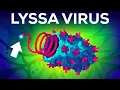 Download Lagu The Deadliest Virus on Earth