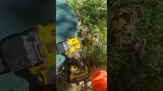 هل يمكنك التعاطف لقد أسقطت برغي ا للتو ضائع برغي بوابة 