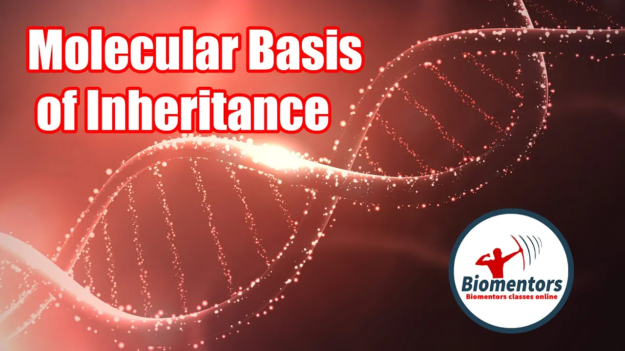 Molecular Basis of Inheritance l Lecture 12 l Biology l NEET
