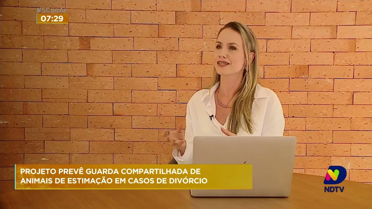Congresso nacional vota projeto de lei que prevê guarda compartilhada de 'pets' em casos de divórcio