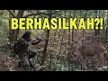 Download Lagu Berburu Rusa Sambar Kalimantan II Saya Sudah Siap....Tapi ini yang Terjadi...!?