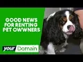 Should pets be allowed in rental properties Your Domain