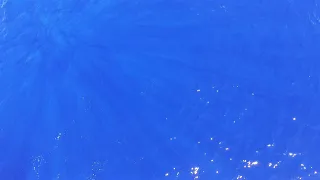 You Bet Your Life (an essay)