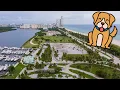 Haulover Beach Park - Miami s Best Dog Friendly Places 2024