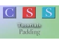 CSS Tutorial Padding