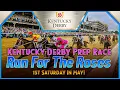 Grade 3 Southwest Stakes KY Derby Prep Picks Oaklawn Park 11th Race Friday 2026