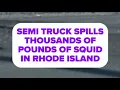 Semi truck spills thousands of pounds of squid in Rhode Island