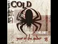 Cold - Stupid Girl