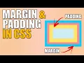 MARGIN VS PADDING in CSS
