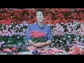 Bordines commercial ca 2002