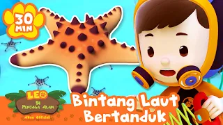 Apa yang sedang dilakukan bintang laut bertanduk? | Leo Si Penjaga Alam | Kartun Edukasi Anak