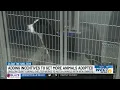 Clear the Shelters Adding incentives to get more animals adopted