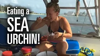 Eating a Sea Urchin in the Bahamas!