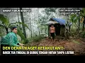 Lagu GAWAT❗HUJAN LEBAT KABUT TEBAL SAAT MENGUNJUNGI KAKEK TUA YANG TINGGAL SENDIRI DI GUBUG TENGAH HUTAN 