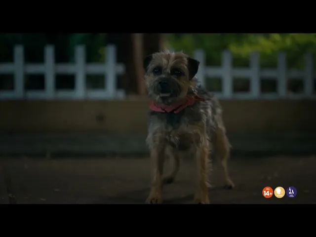 Doggy Style | Clip 'Reflections'