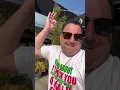 Lil Mo Mozzarella - Michael s of Brooklyn