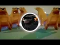 Shake That/Glue70 Casin "Remix" #libredecopyright 🐒