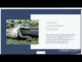 Python Tutorial for Beginners - Introduction to Python Learn Python from Scratch Part 1
