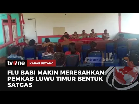 Waspada Flu Babi Afrika, Pemkab Luwu Timur Bentuk Tim Satgas
