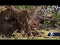 Volunteers help in Seminole as clean-up efforts continue