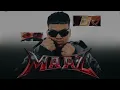 MAAZ Intro l SAMBATA l Official Visualiser ( Prod.by Zerochill ) Def Jam India