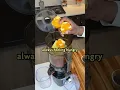 Parasite Cleansing Juice Recipe Kuvings AUTO10 Plus Slow Juicer
