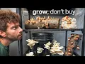 Download Lagu Ik koop nooit meer paddenstoelen (dit is waarom)