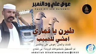 عوض علي ودالنمير اغنية طيرن ياقماري امشي للحبيب New 2025 