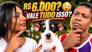 Por que este cachorro vale mais de 6 mil? 