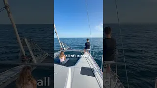 We Finally Left