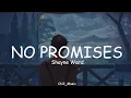 Download Lagu Shayne Ward - No Promises (Lyrics) (Loop Video)