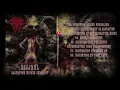 Download Lagu Sijjeel - 2022 - Salvation Within Insanity (Full Album)