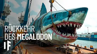 Was wäre, wenn der Megalodon nie aufgehört hätte, sich weiterzuentwickeln?