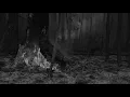 Slipknot - Psychosocial (LYRICS)