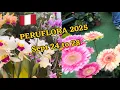 Wow Beautiful Flowers Park Kennedy Lima