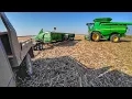 Download Lagu High Moisture Corn→Soybean Harvest