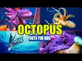 All About The Octopus - Facts for Kids