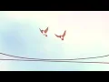 Download Lagu Toradora episode 1