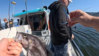 Fishing on a charter boat in Fort Bragg California