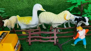 Truk oleng muat sapi kambing angsa bebek | suara sapi kambing bebek lucu