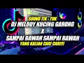 Download Lagu DJ MELODY KUCING GARONG X SAMPAI BAWAH SAMPAI BAWAH YANG VIRAL DI TIK TOK YANG KALIAN CARI!!!