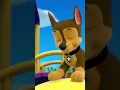 Chase and Skye playing tag - Paw patrol