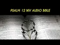 PSALM 12 NIV BIBLE