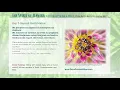Download Lagu The Spirit of Mantra: 21-Day Mantra Meditation Journey Vol. II - Day 7