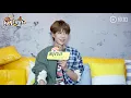 190621 UNIQ Wang Yibo - interview for Sina Variety