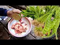 Download Lagu Kangkung rebus vs sambal ampela ati pete