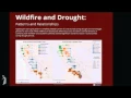 Revealing Best Practices in Visual Exploratory Data Analysis Data Dialogs 2014